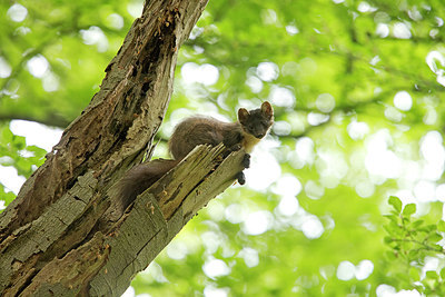 BUITEN BEELD Foto: 274603
