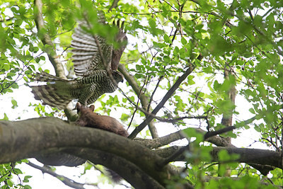 BUITEN BEELD Foto: 274650