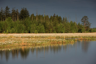 BUITEN BEELD Foto: 274681