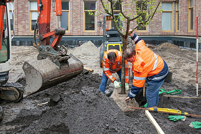 BUITEN BEELD Foto: 274726