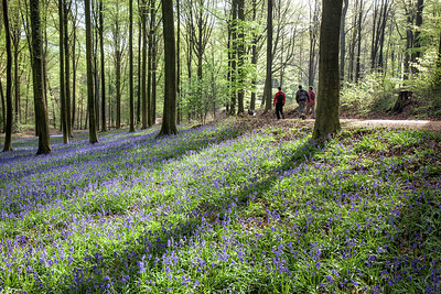 BUITEN BEELD Foto: 274733