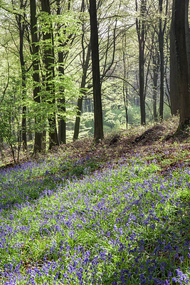 BUITEN BEELD Foto: 274734
