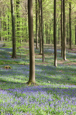 BUITEN BEELD Foto: 274736