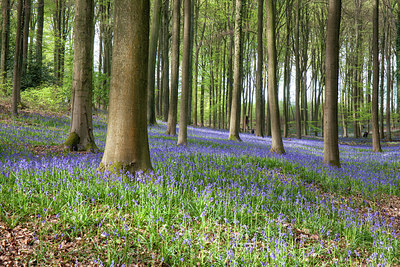 BUITEN BEELD Foto: 274737