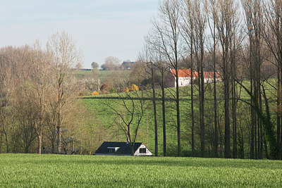 BUITEN BEELD Foto: 274744