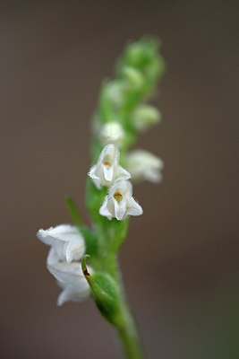 BUITEN BEELD Foto: 274764