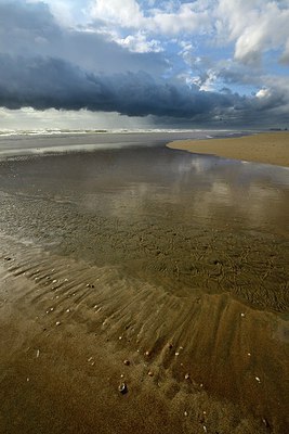 BUITEN BEELD Foto: 274770