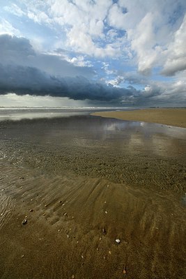 BUITEN BEELD Foto: 274771