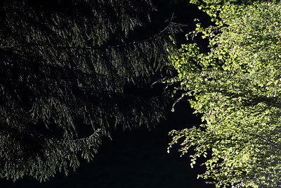 BUITEN BEELD Foto: 274789