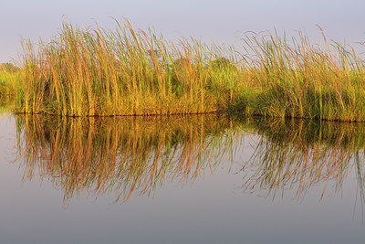 BUITEN BEELD Foto: 274822