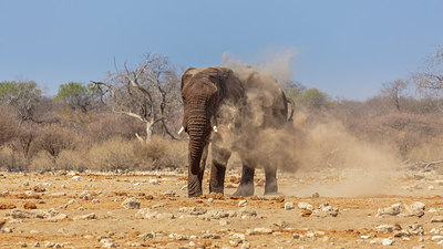 BUITEN BEELD Foto: 274835