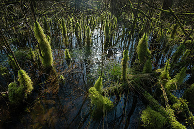 BUITEN BEELD Foto: 274847