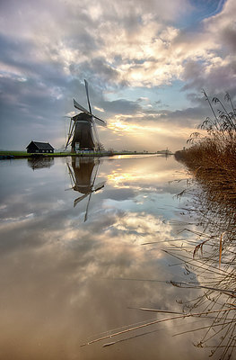BUITEN BEELD Foto: 274849