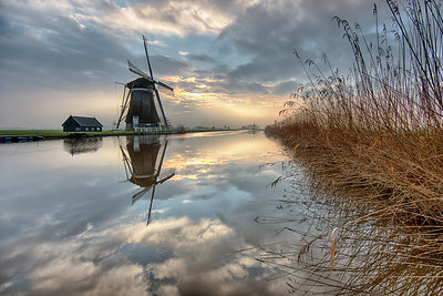 BUITEN BEELD Foto: 274850