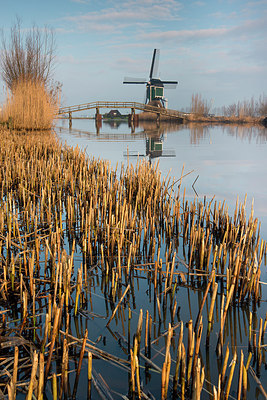 BUITEN BEELD Foto: 274854