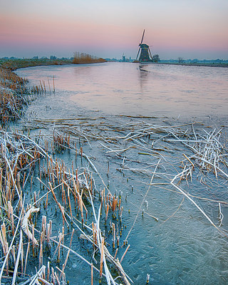 BUITEN BEELD Foto: 274858