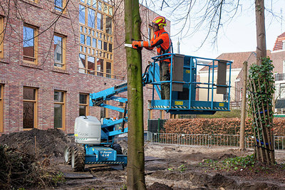 BUITEN BEELD Foto: 274868