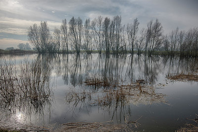 BUITEN BEELD Foto: 274879