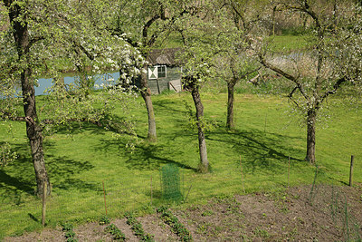 BUITEN BEELD Foto: 274887