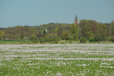 BUITEN BEELD Foto: 274889