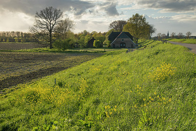 BUITEN BEELD Foto: 274892