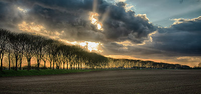 BUITEN BEELD Foto: 274893