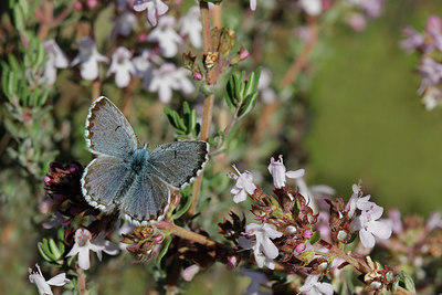 BUITEN BEELD Foto: 274900