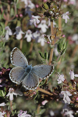 BUITEN BEELD Foto: 274901