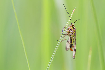 BUITEN BEELD Foto: 274903