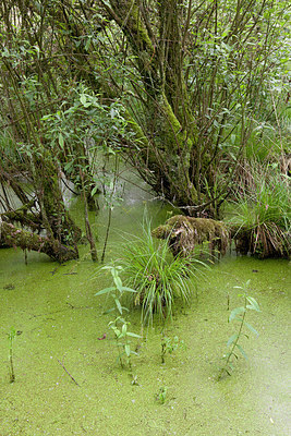 BUITEN BEELD Foto: 274906