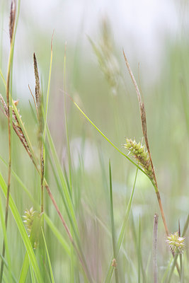 BUITEN BEELD Foto: 274912