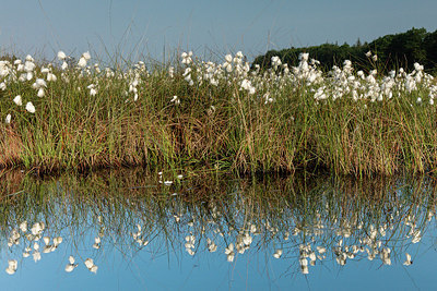 BUITEN BEELD Foto: 274915