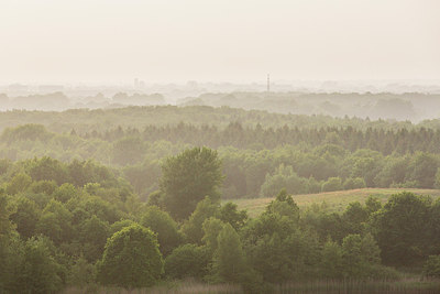 BUITEN BEELD Foto: 274938