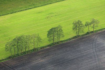 BUITEN BEELD Foto: 274940