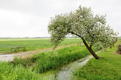 BUITEN BEELD Foto: 274945