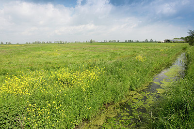 BUITEN BEELD Foto: 274948
