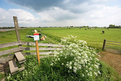 BUITEN BEELD Foto: 274950