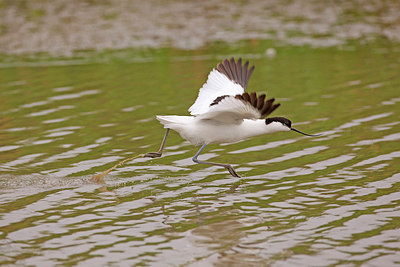 BUITEN BEELD Foto: 275001