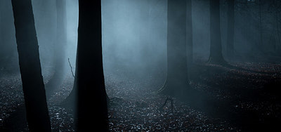 BUITEN BEELD Foto: 275037