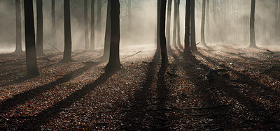 BUITEN BEELD Foto: 275038