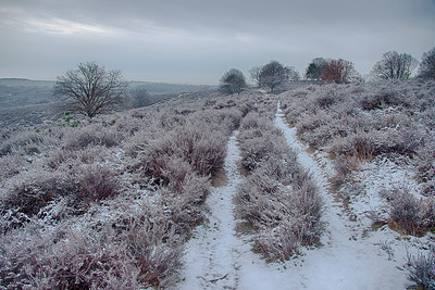 BUITEN BEELD Foto: 275039