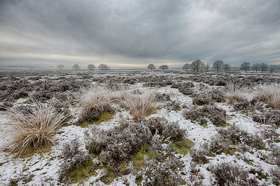 BUITEN BEELD Foto: 275042