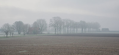 BUITEN BEELD Foto: 275044