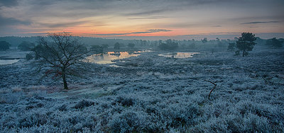 BUITEN BEELD Foto: 275045
