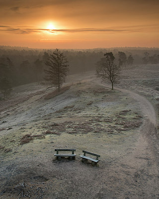 BUITEN BEELD Foto: 275046