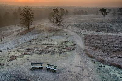 BUITEN BEELD Foto: 275047