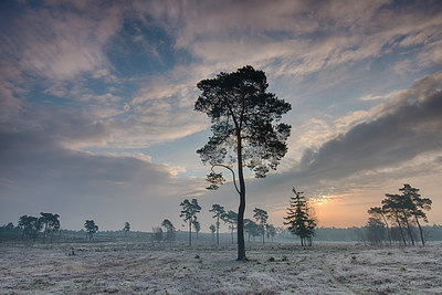 BUITEN BEELD Foto: 275049