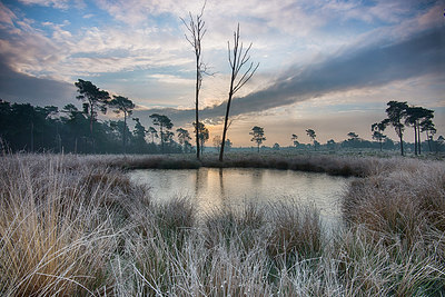 BUITEN BEELD Foto: 275050