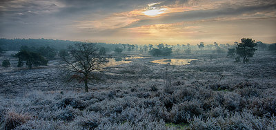 BUITEN BEELD Foto: 275051