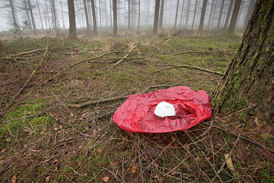 BUITEN BEELD Foto: 275061